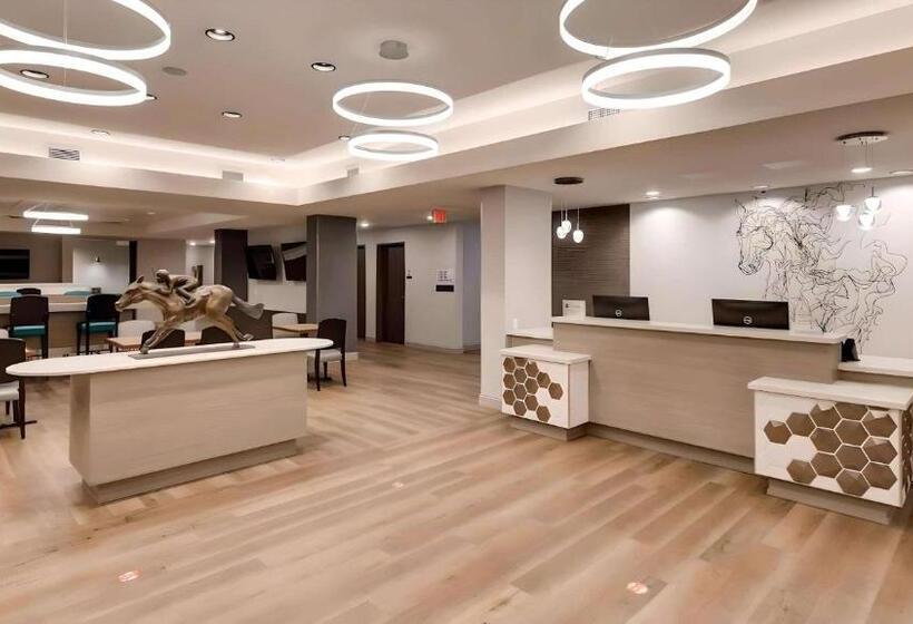 فندق Comfort Inn & Suites