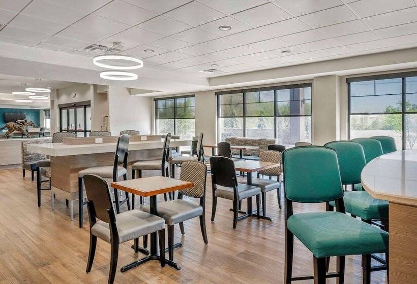 فندق Comfort Inn & Suites