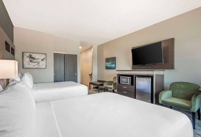 فندق Comfort Inn & Suites