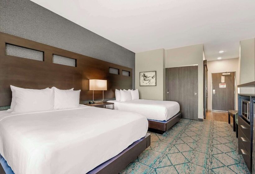 فندق Comfort Inn & Suites