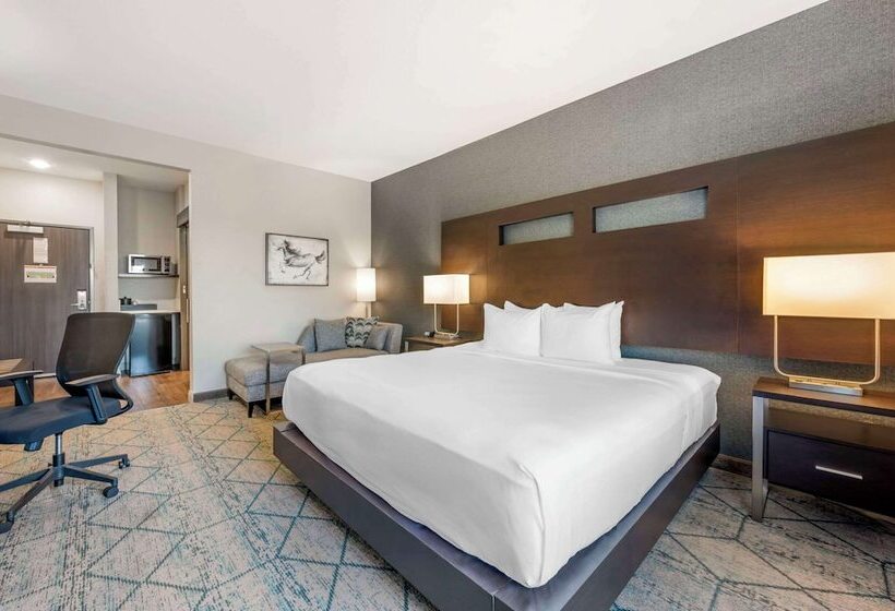 فندق Comfort Inn & Suites