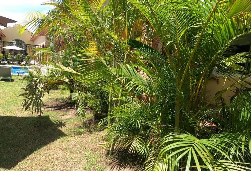 호텔 Boutique Sol Y Luna Spa