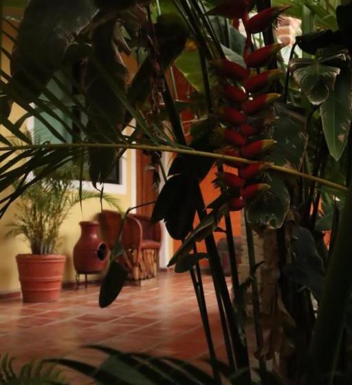 호텔 Boutique Sol Y Luna Spa