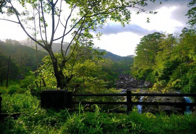 ホテル Fallside Rest