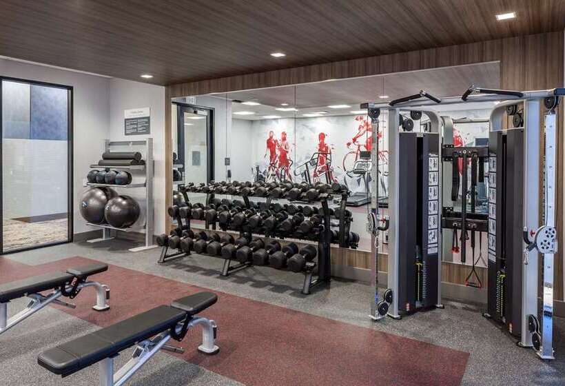 בית מלון כפרי Hilton Garden Inn Madison Downtown