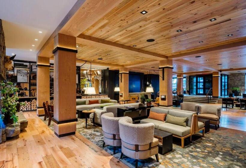 فندق The Cloudveil, Autograph Collection