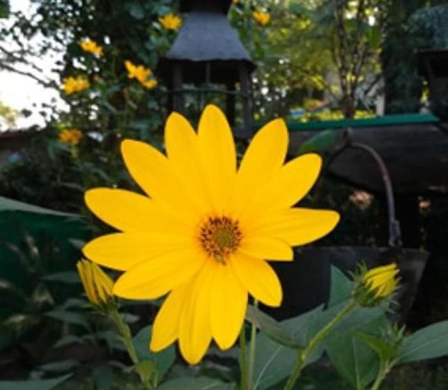 Пансион Lo De La Omi