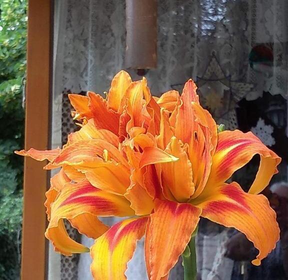 Пансион Lo De La Omi