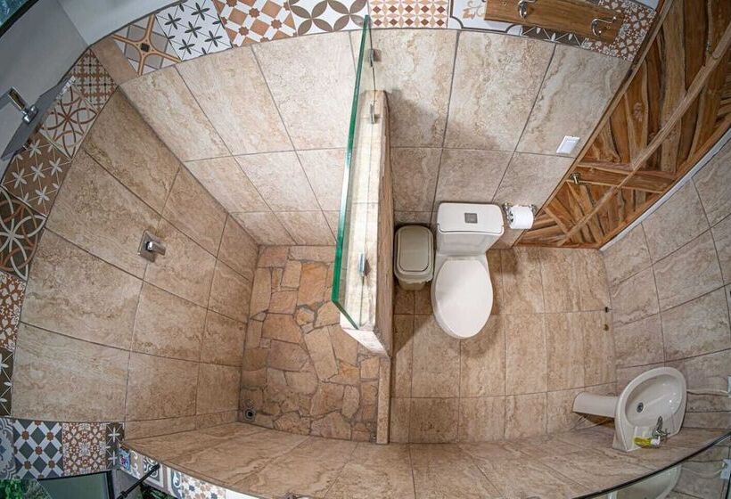 膳宿费 Pura Natura Beachfront Tortuguero