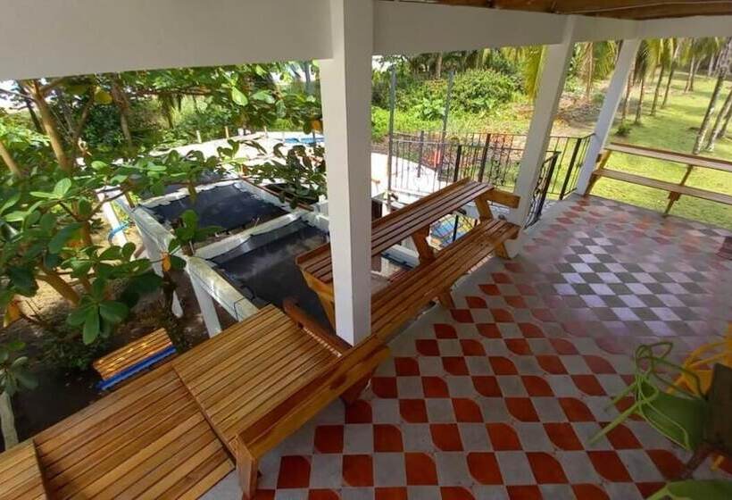 膳宿费 Pura Natura Beachfront Tortuguero