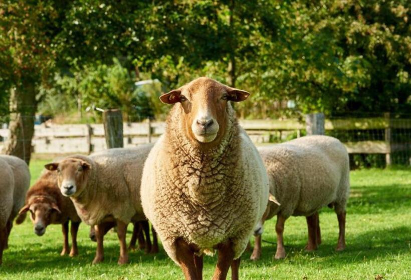 Room And Kitchen Im Katerberg