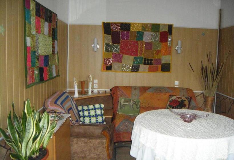 هاستل клуб B55