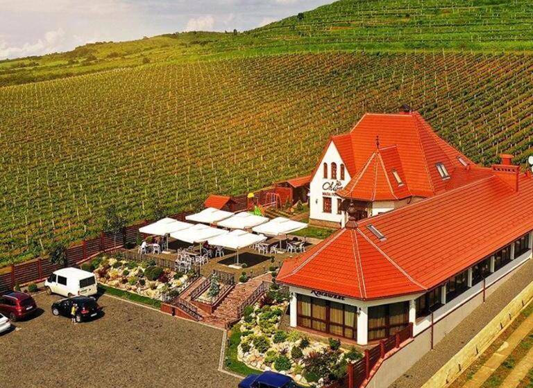 Hostel Chizay. мала гора