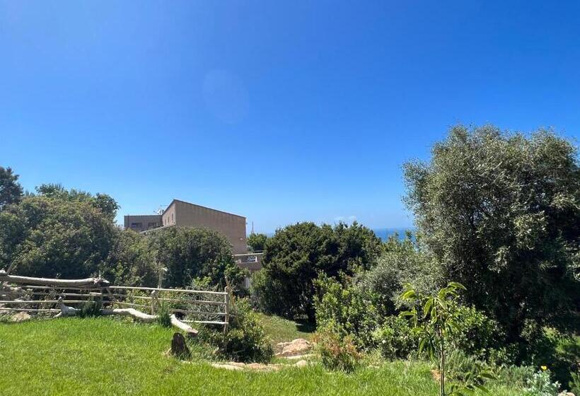 مبيت وإفطار Alelca Domo