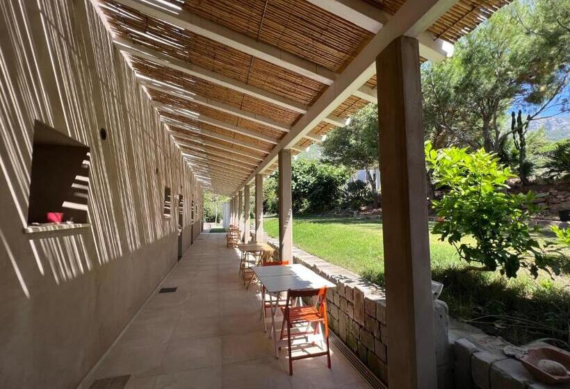 Bed and Breakfast Alelca Domo