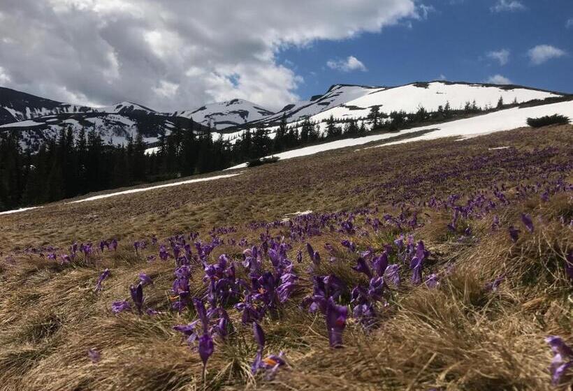 هتل Alpin Eco Chalet & Wellness