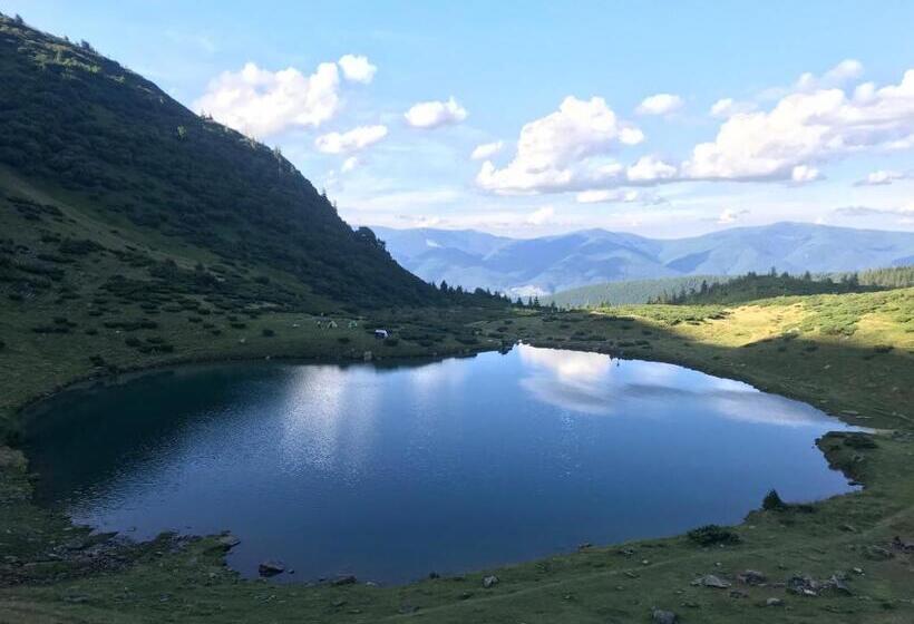 هتل Alpin Eco Chalet & Wellness