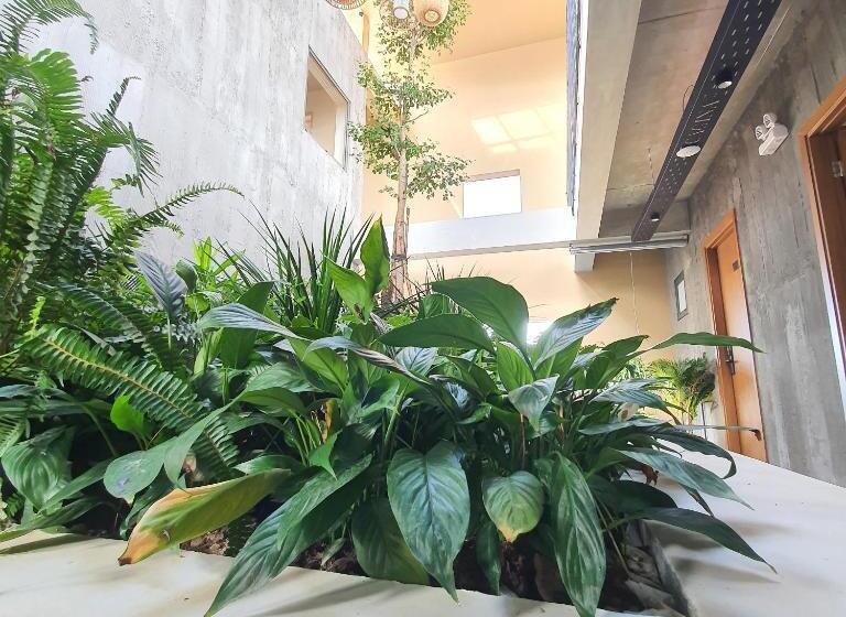 هتل Cagina Boutique Hostel