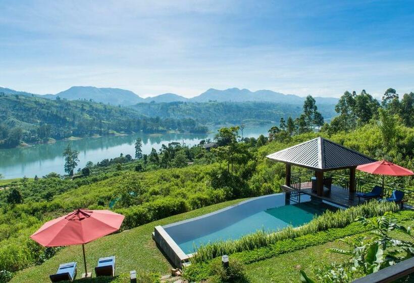 酒店 Camellia Hills