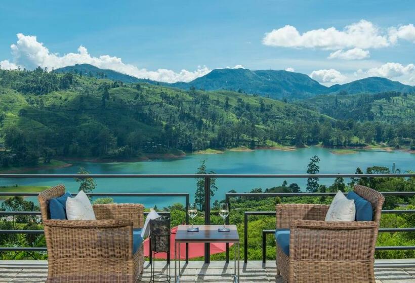 酒店 Camellia Hills