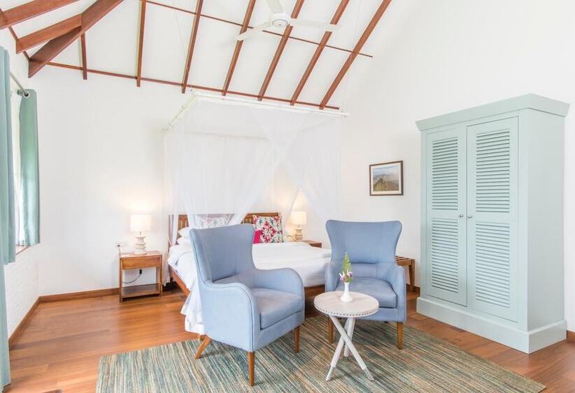 Отель Camellia Hills