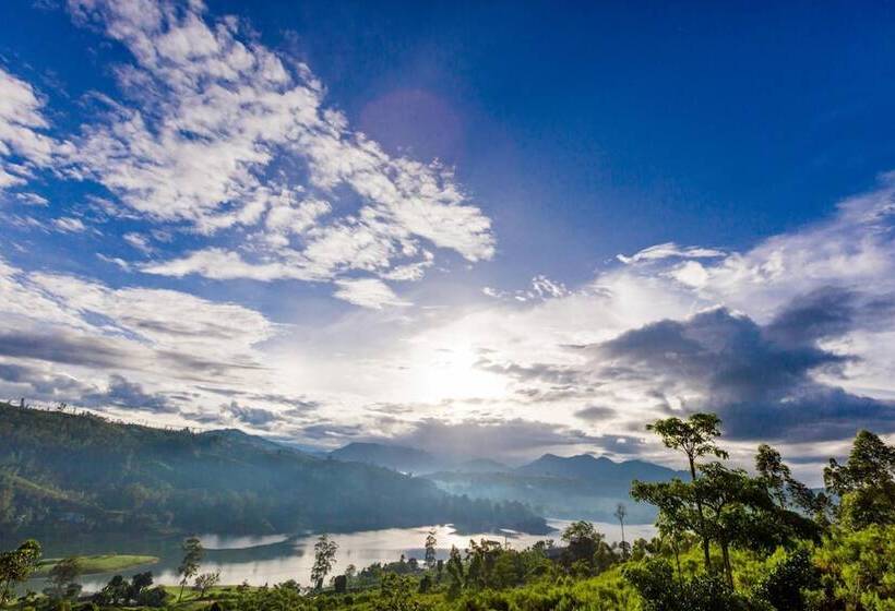 酒店 Camellia Hills