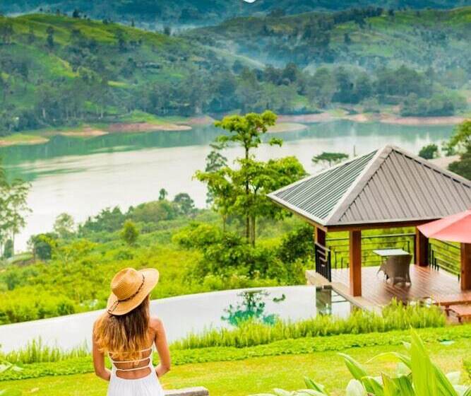 酒店 Camellia Hills