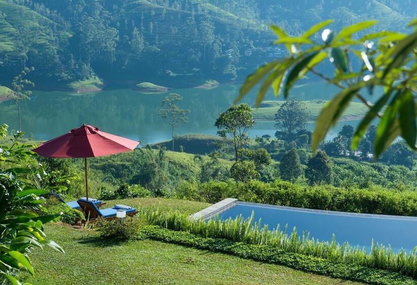 Отель Camellia Hills