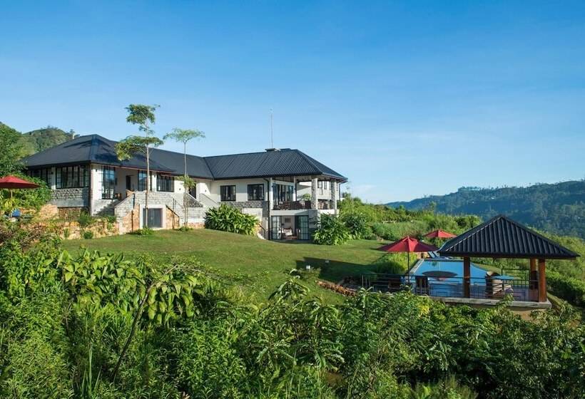 酒店 Camellia Hills