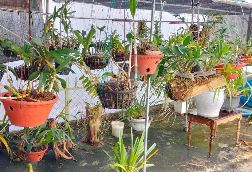 هتل Hoa Mai Plus Hostel