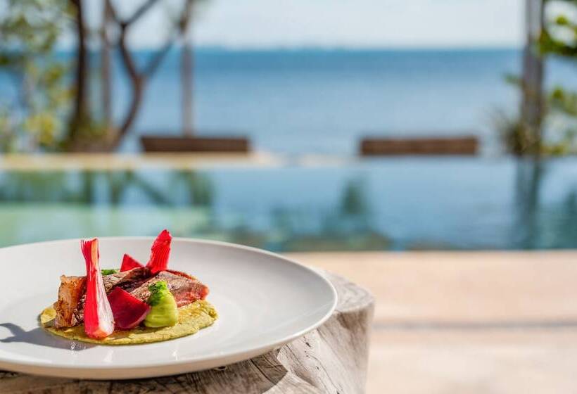 酒店 Lola By Coco B Isla