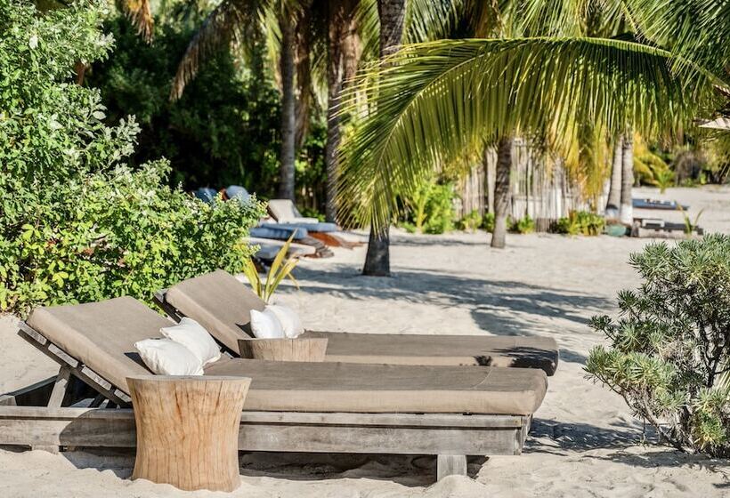 酒店 Lola By Coco B Isla