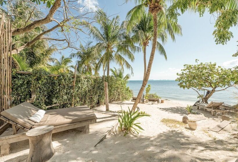 酒店 Lola By Coco B Isla