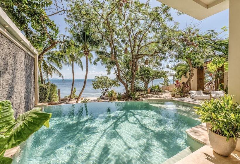 酒店 Lola By Coco B Isla