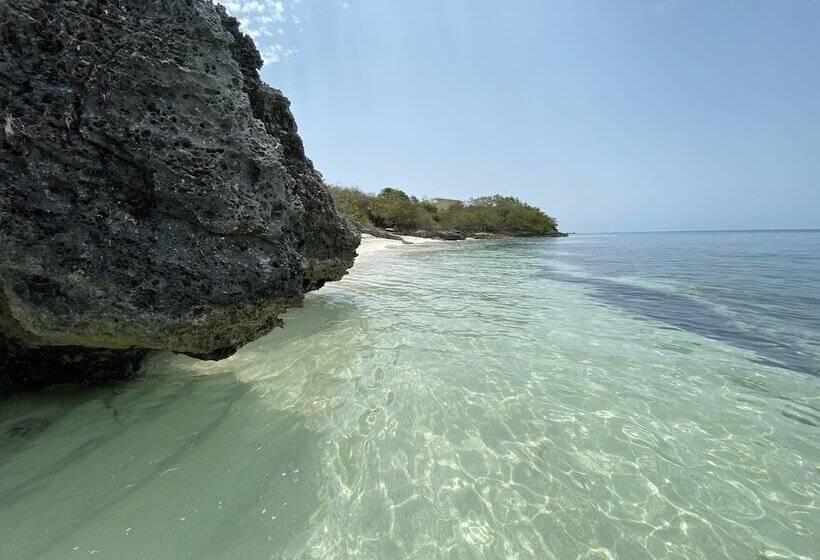 酒店 Lola By Coco B Isla