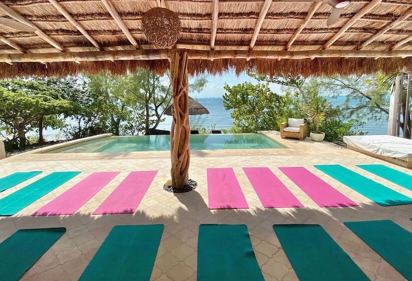 酒店 Lola By Coco B Isla