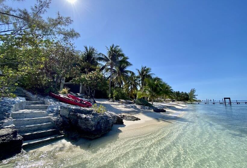 酒店 Lola By Coco B Isla