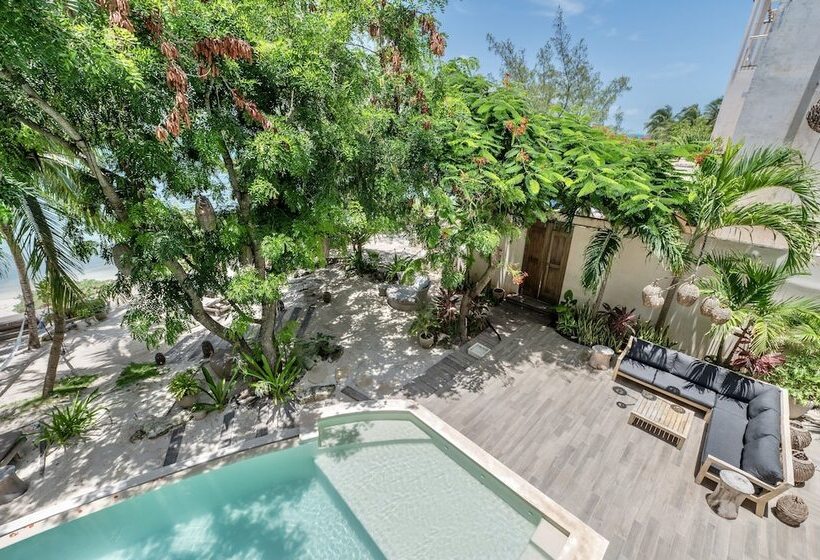 酒店 Lola By Coco B Isla