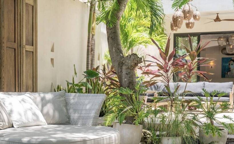 酒店 Lola By Coco B Isla