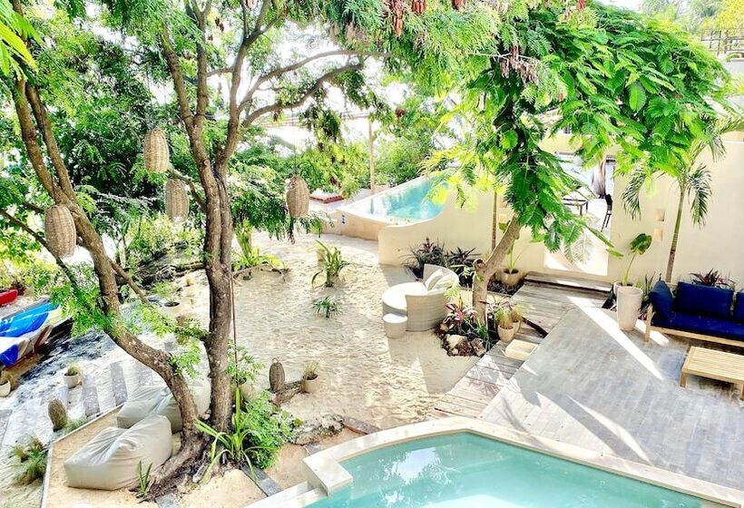 酒店 Lola By Coco B Isla