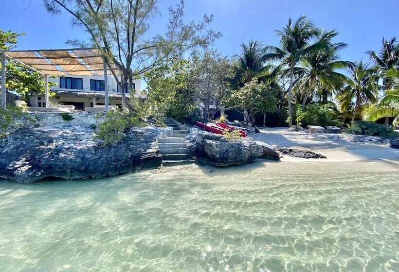 酒店 Lola By Coco B Isla