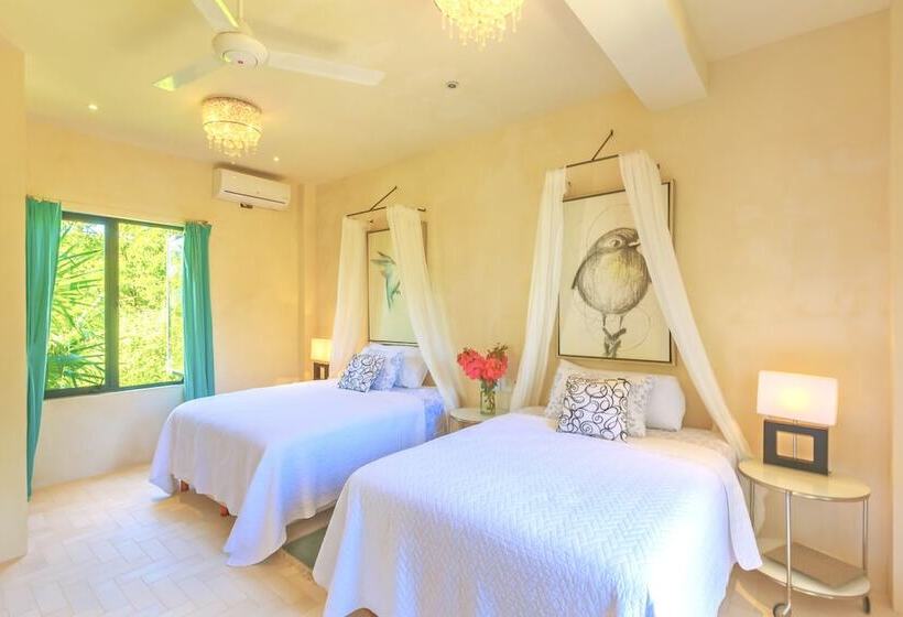 酒店 Lola By Coco B Isla