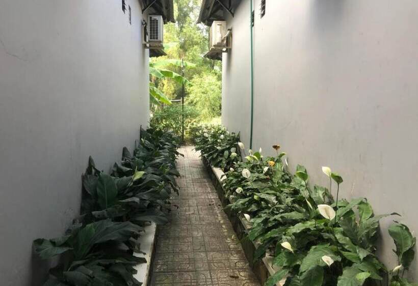 هتل Mai Vuong Thuy