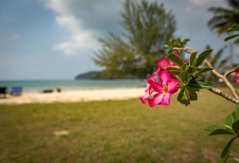 בית מלון כפרי Sabai Beach Resort