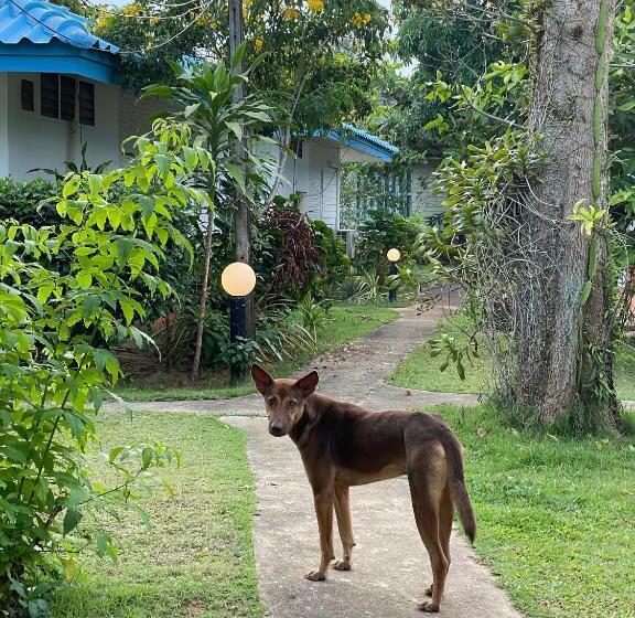 בית מלון כפרי Sabai Beach Resort