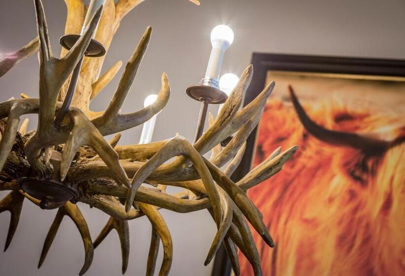 호텔 Taypark House