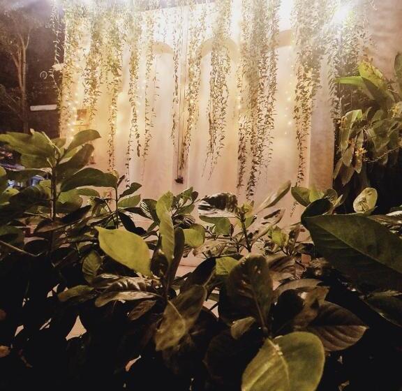 Lyly S House   Homestay