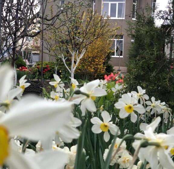 Pensão гостевой дом