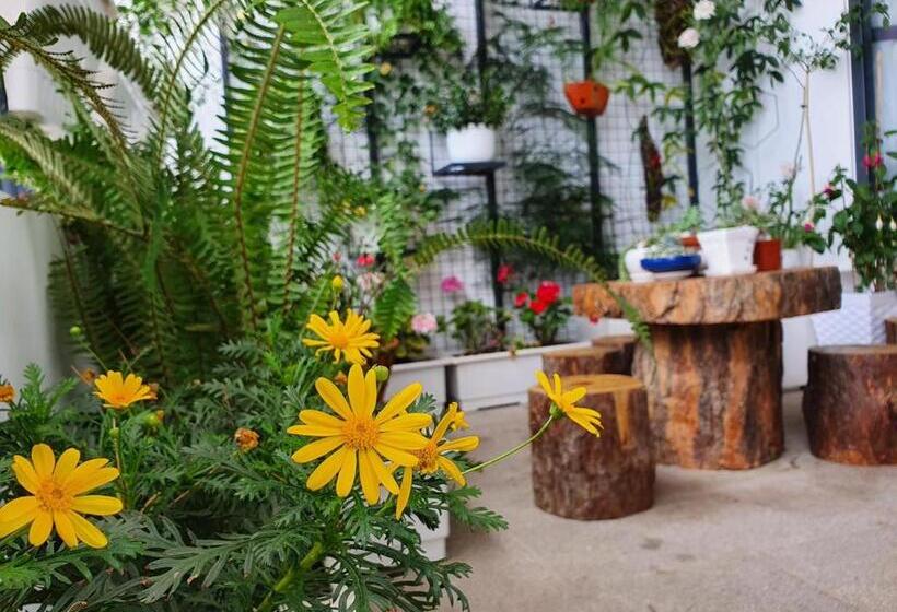 پانسیون Aki 秋 Hostel