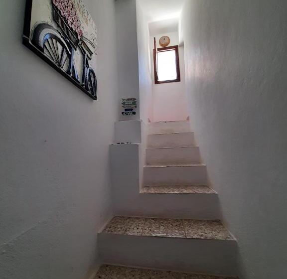 Пансион Banana Surf House